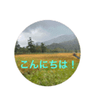 秋バージョン5（個別スタンプ：7）