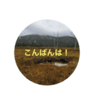 秋バージョン5（個別スタンプ：9）
