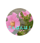 秋バージョン5（個別スタンプ：10）