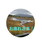 秋バージョン5（個別スタンプ：12）
