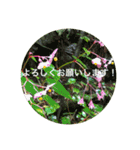 秋バージョン5（個別スタンプ：22）