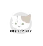 Sayo's Cat（個別スタンプ：5）