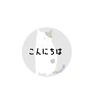 Sayo's Cat（個別スタンプ：6）