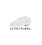 Sayo's Cat（個別スタンプ：10）