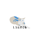 Sayo's Cat（個別スタンプ：12）