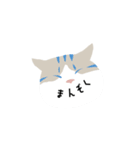 Sayo's Cat（個別スタンプ：21）