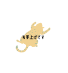 Sayo's Cat（個別スタンプ：26）