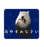 黒モフ4（個別スタンプ：4）