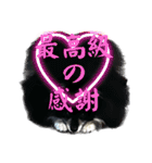 黒モフ4（個別スタンプ：5）