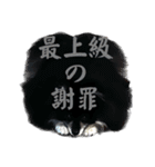 黒モフ4（個別スタンプ：6）