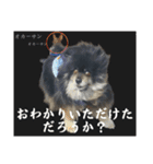 黒モフ4（個別スタンプ：31）