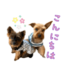 ララちゃん、ロコちゃん、エルくん（個別スタンプ：2）