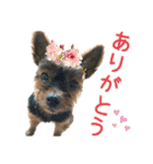 ララちゃん、ロコちゃん、エルくん（個別スタンプ：5）