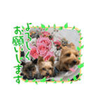 ララちゃん、ロコちゃん、エルくん（個別スタンプ：9）
