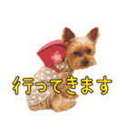 ララちゃん、ロコちゃん、エルくん（個別スタンプ：11）