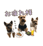 ララちゃん、ロコちゃん、エルくん（個別スタンプ：14）