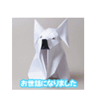 笑犬（しょうけん）モーメント（個別スタンプ：32）