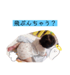 りなぷんスタンプ(冷凍装置編第二弾)（個別スタンプ：15）