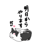 [BIG]福を呼ぶ！！かぎしっぽねこ大ちゃん（個別スタンプ：31）