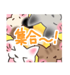 やっぱり猫も好き♡（個別スタンプ：17）