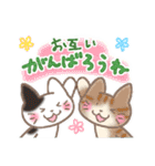 やっぱり猫も好き♡（個別スタンプ：36）