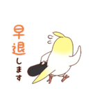 オーケストラ団員のオカメインコ（個別スタンプ：10）