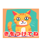 癒しの猫スタンプセット（個別スタンプ：37）