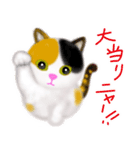 ほのぼの三毛猫ちゃんスタンプ（個別スタンプ：11）