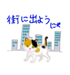 ほのぼの三毛猫ちゃんスタンプ（個別スタンプ：20）