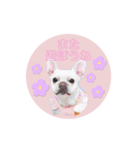 らぶちゃんぱーちゃんぷりちゃん（個別スタンプ：11）