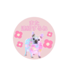 らぶちゃんぱーちゃんぷりちゃん（個別スタンプ：12）