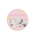らぶちゃんぱーちゃんぷりちゃん（個別スタンプ：13）