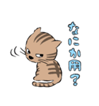 Neko Neko スタンプ (ネガ＆ポジ)（個別スタンプ：12）