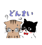 Neko Neko スタンプ (ネガ＆ポジ)（個別スタンプ：31）