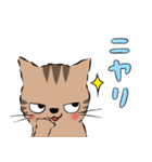 Neko Neko スタンプ (ネガ＆ポジ)（個別スタンプ：33）