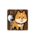 可愛い柴犬のゆるゆるスタンプ（個別スタンプ：5）