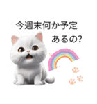 白いかわいい猫（個別スタンプ：5）