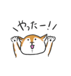 二重あごのしば犬（個別スタンプ：19）