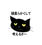 ふてぶてしい黒猫ちゃん 2（個別スタンプ：8）