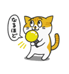 陽気な茶トラねこ（個別スタンプ：31）