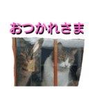 あるてぃめっと☆にゃいやもんどPARADE（個別スタンプ：10）
