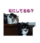 あるてぃめっと☆にゃいやもんどPARADE（個別スタンプ：11）