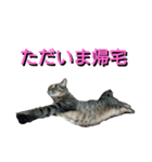 あるてぃめっと☆にゃいやもんどPARADE（個別スタンプ：12）