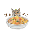 ほっこり猫と食べ物8（個別スタンプ：30）