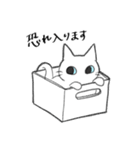 敬語のねこのやつ（個別スタンプ：9）