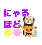 まるっとAI動物園(いたずら猫のハロウィン)（個別スタンプ：29）