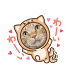 ホルモン3兄妹の日常（個別スタンプ：1）