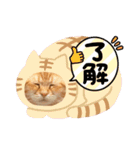 ホルモン3兄妹の日常（個別スタンプ：2）