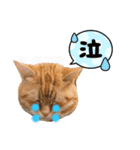 ホルモン3兄妹の日常（個別スタンプ：4）