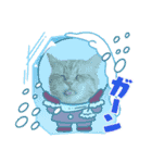 ホルモン3兄妹の日常（個別スタンプ：11）